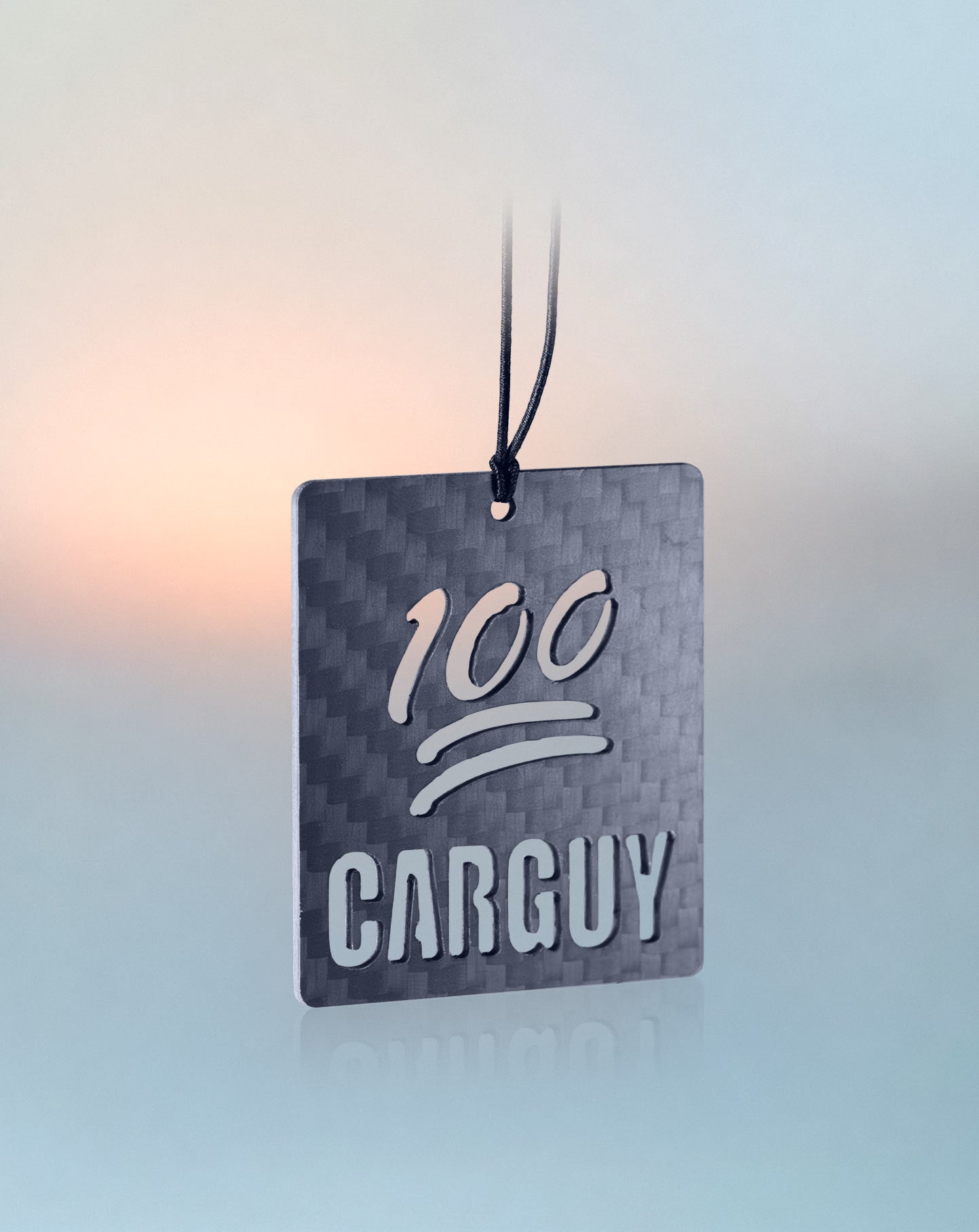 100% CarGuy