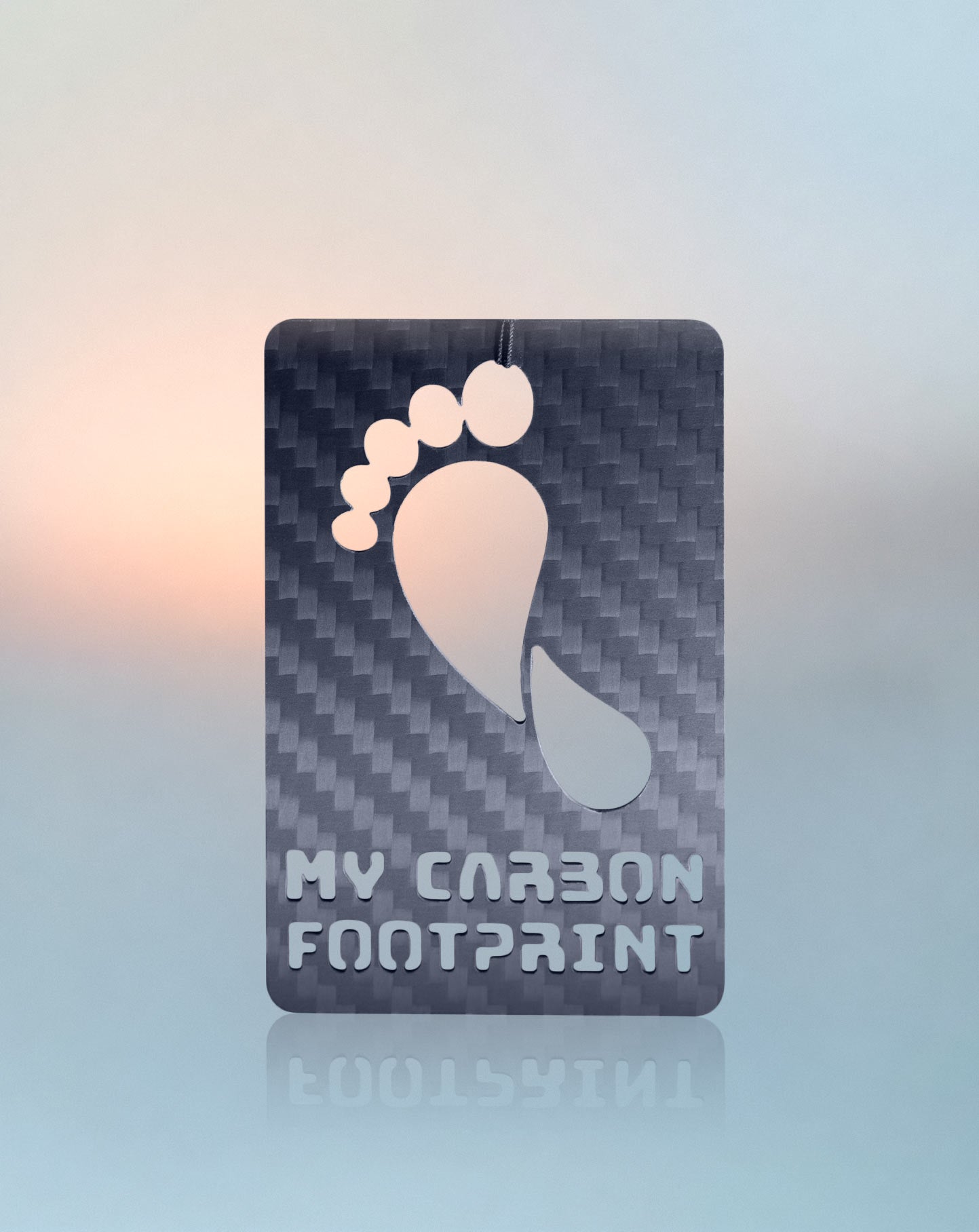 Carbon Footprint