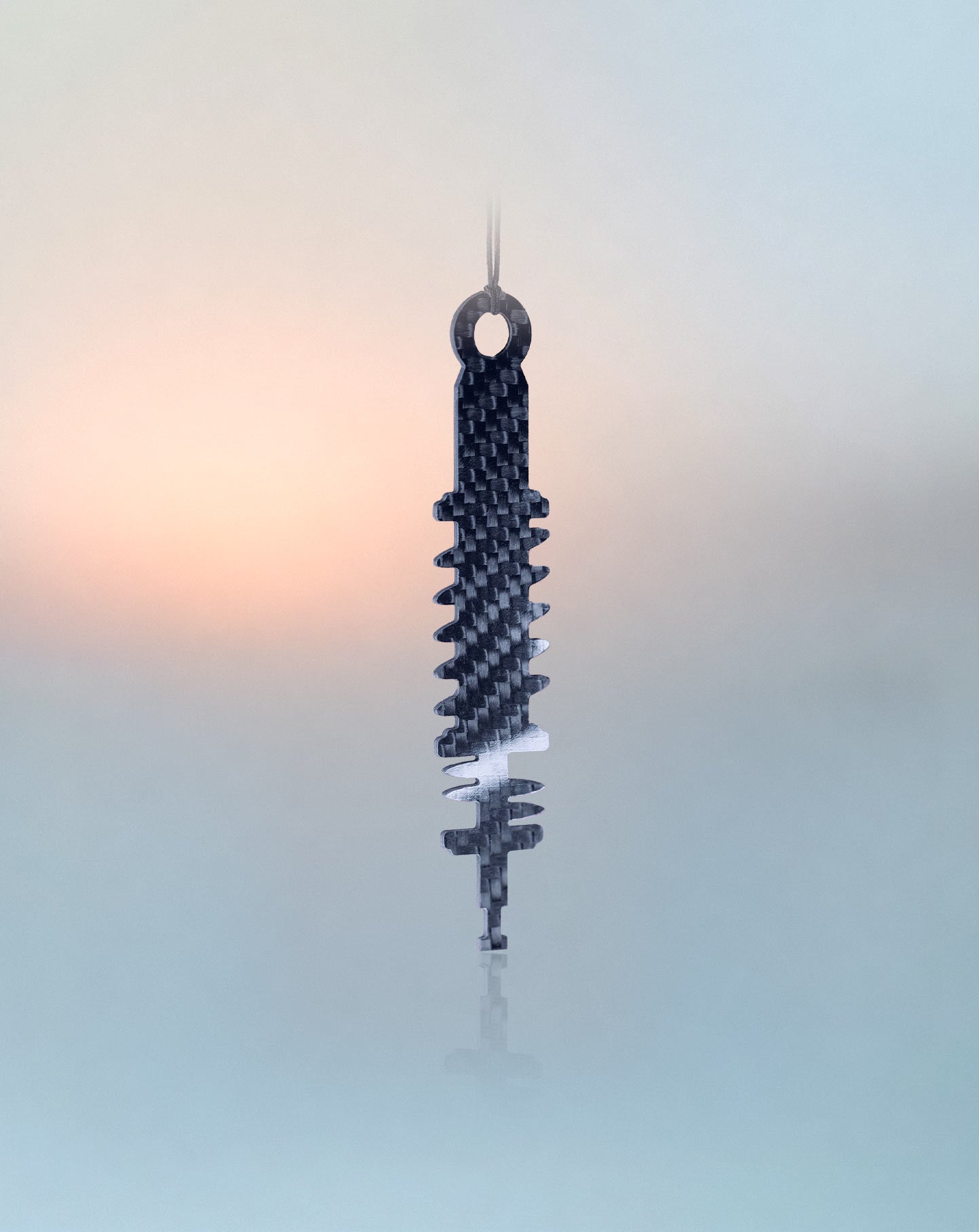 Absorber