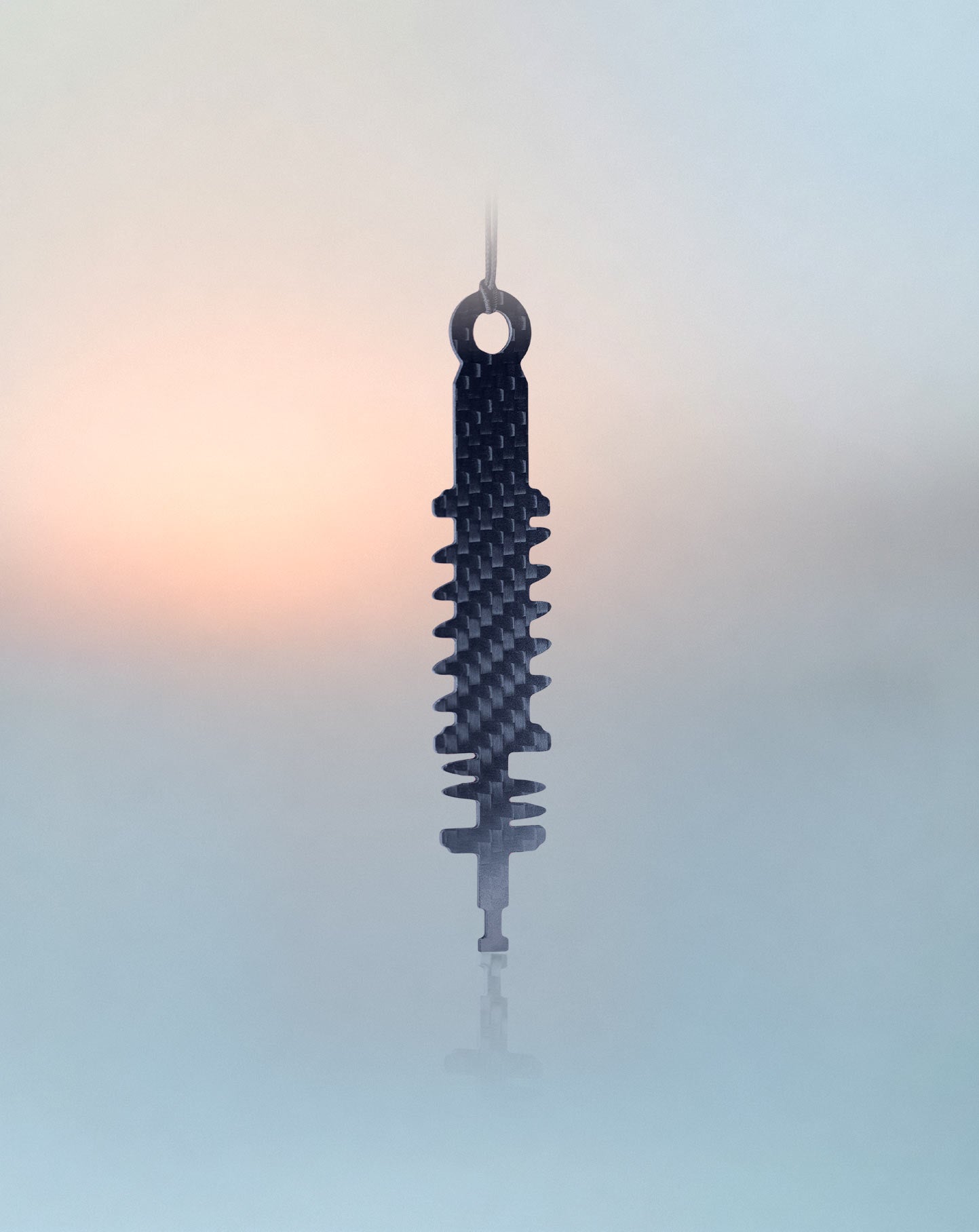 Absorber