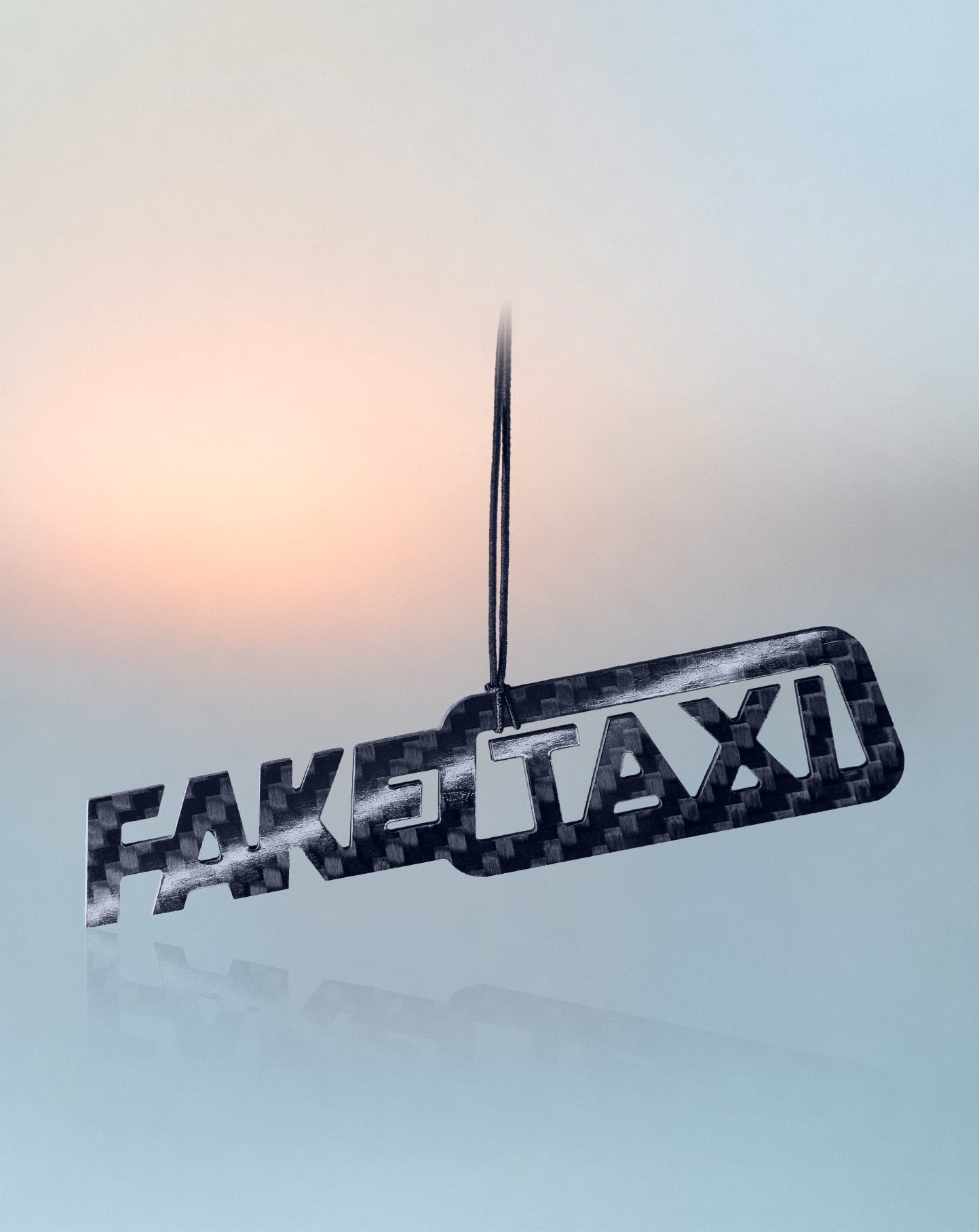 FakeTaxi