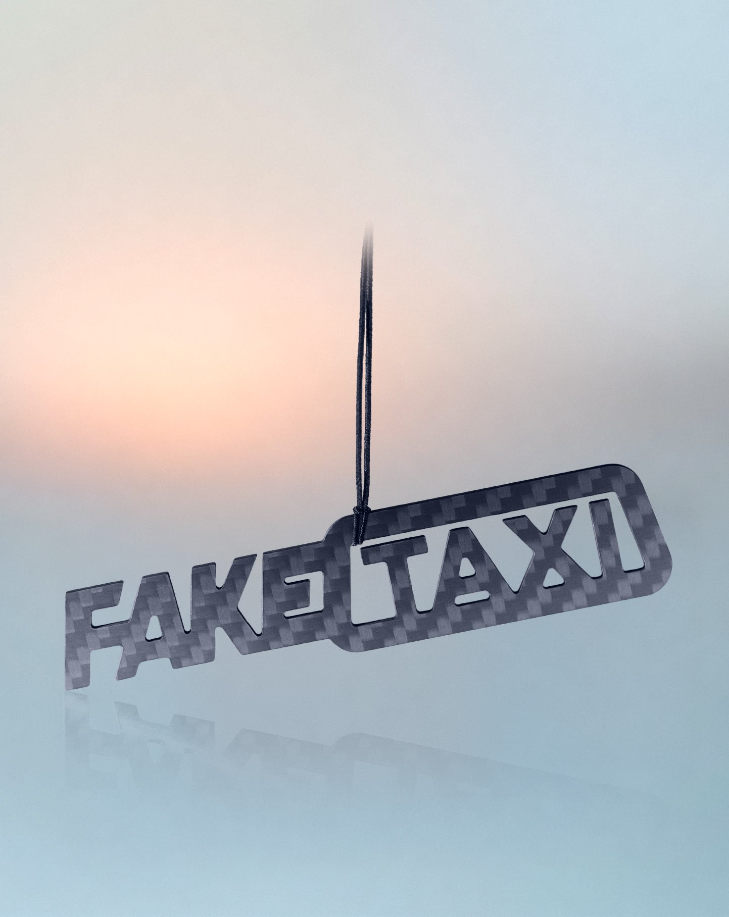 FakeTaxi