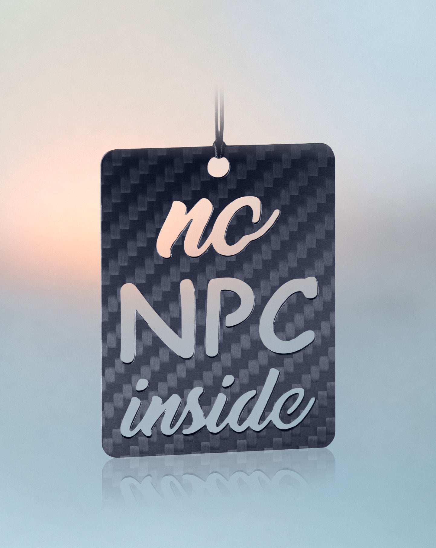 No NPC inside