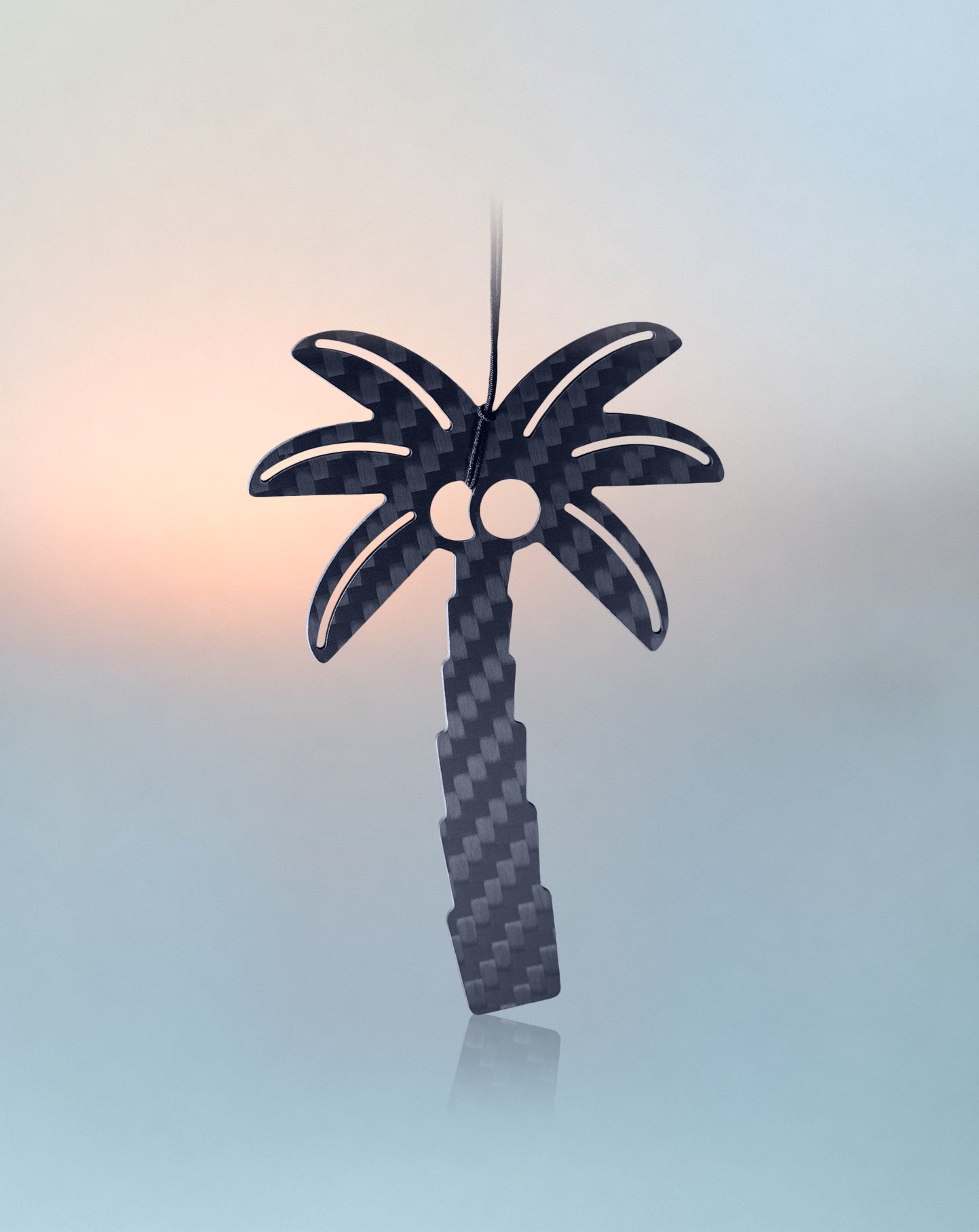 Palm
