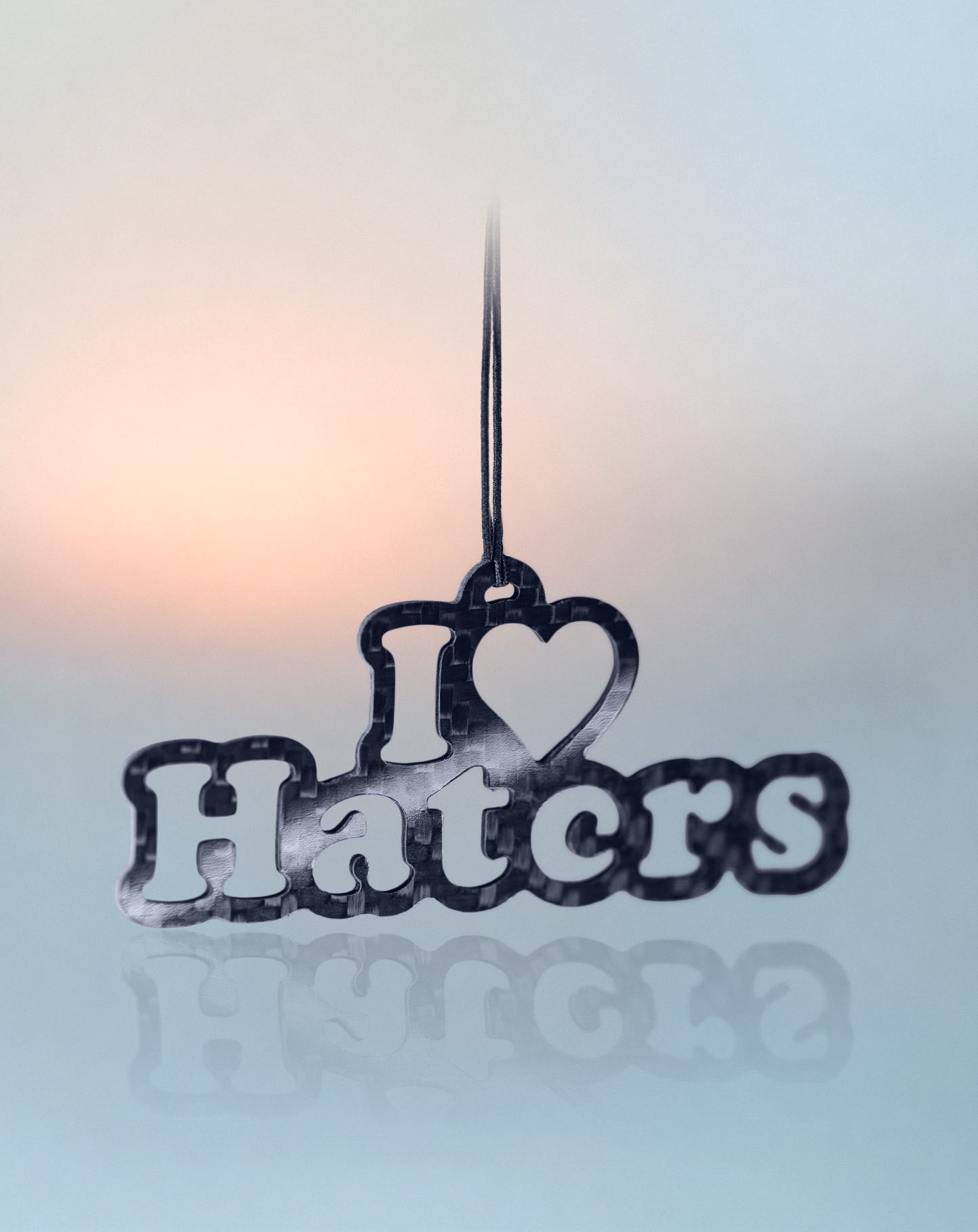 I Love Haters