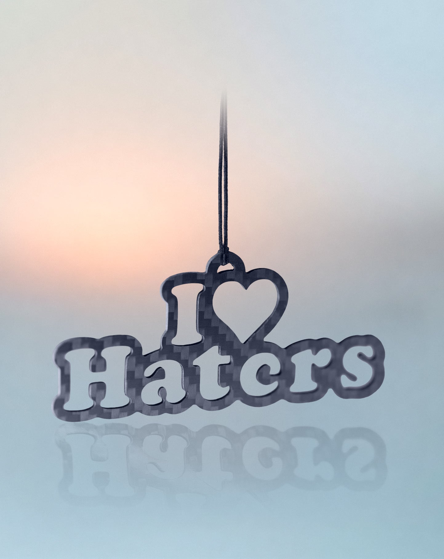 I Love Haters
