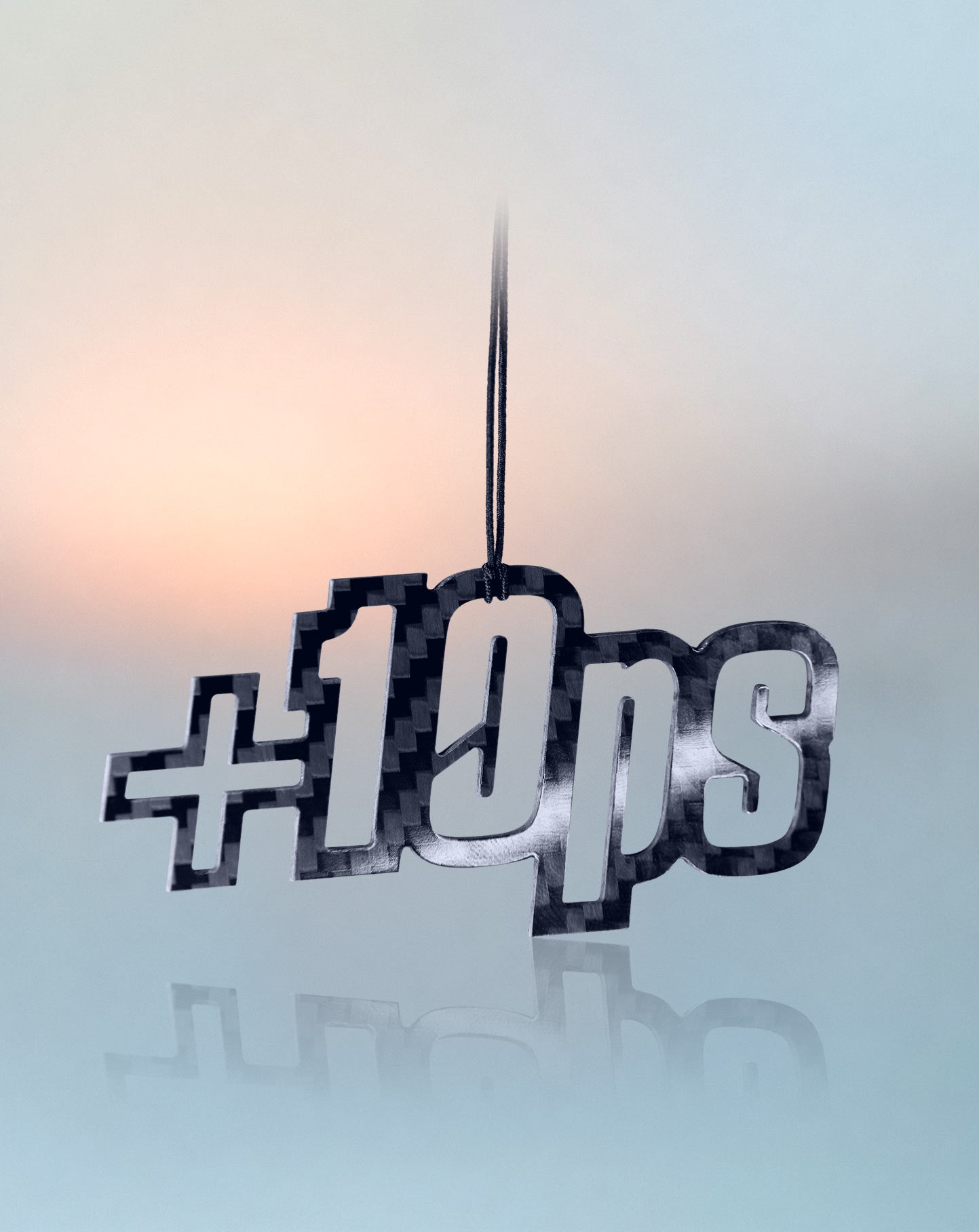 +10PS